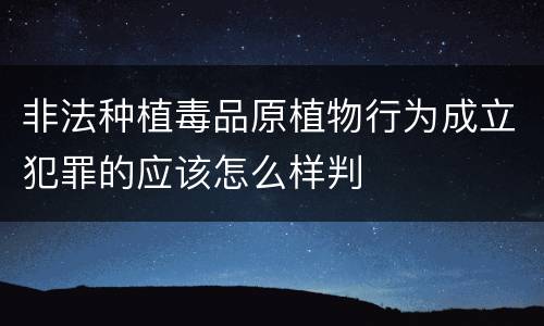 非法种植毒品原植物行为成立犯罪的应该怎么样判