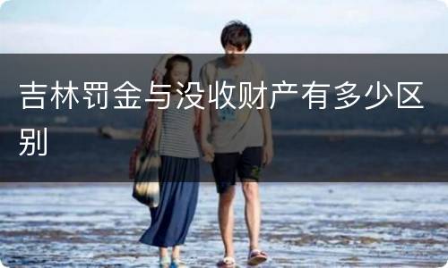 吉林罚金与没收财产有多少区别