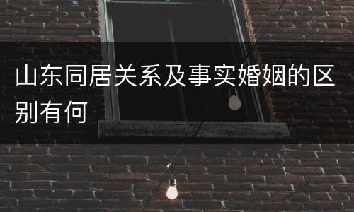 山东同居关系及事实婚姻的区别有何