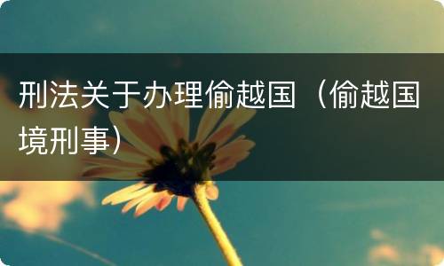 刑法关于办理偷越国（偷越国境刑事）