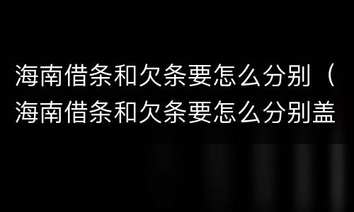 海南借条和欠条要怎么分别（海南借条和欠条要怎么分别盖章）