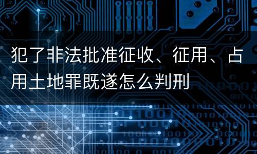 犯了非法批准征收、征用、占用土地罪既遂怎么判刑
