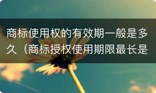 商标使用权的有效期一般是多久（商标授权使用期限最长是多久）