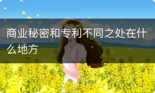商业秘密和专利不同之处在什么地方