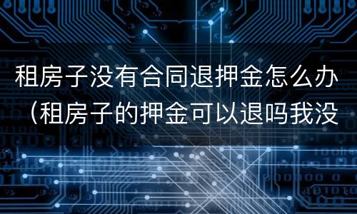 租房子没有合同退押金怎么办（租房子的押金可以退吗我没订合同）