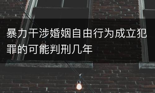 暴力干涉婚姻自由行为成立犯罪的可能判刑几年