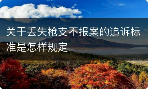 关于丢失枪支不报案的追诉标准是怎样规定