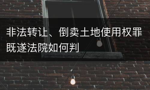 非法转让、倒卖土地使用权罪既遂法院如何判