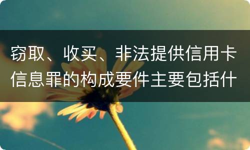 窃取、收买、非法提供信用卡信息罪的构成要件主要包括什么