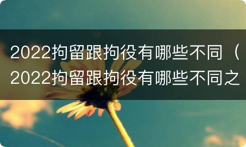 2022拘留跟拘役有哪些不同（2022拘留跟拘役有哪些不同之处）