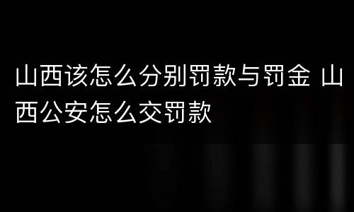 山西该怎么分别罚款与罚金 山西公安怎么交罚款