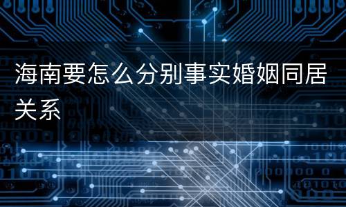 海南要怎么分别事实婚姻同居关系