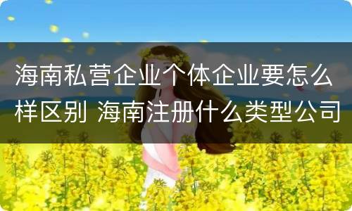 海南私营企业个体企业要怎么样区别 海南注册什么类型公司好