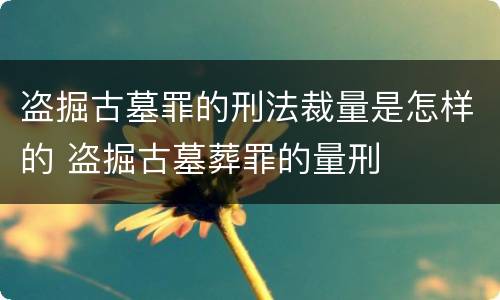 盗掘古墓罪的刑法裁量是怎样的 盗掘古墓葬罪的量刑