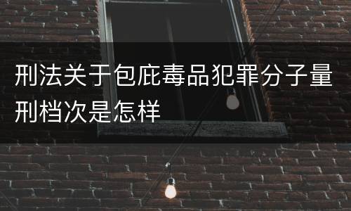 刑法关于包庇毒品犯罪分子量刑档次是怎样
