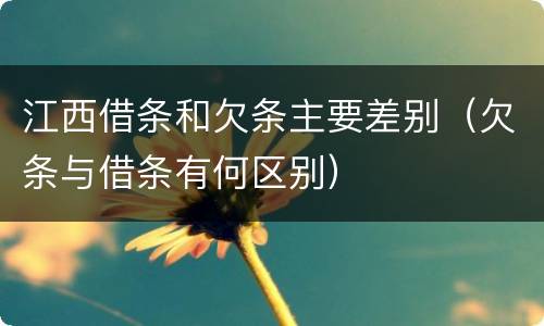 江西借条和欠条主要差别（欠条与借条有何区别）