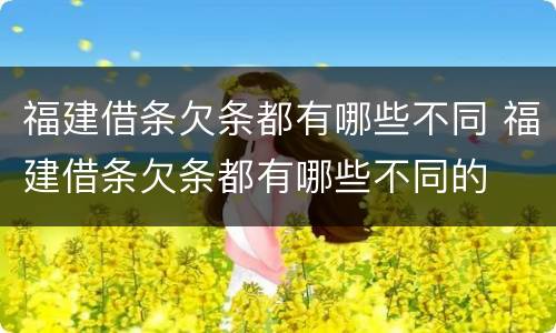 福建借条欠条都有哪些不同 福建借条欠条都有哪些不同的
