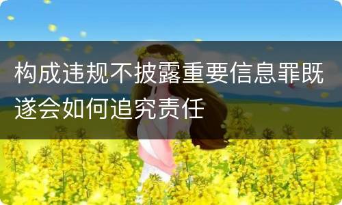 构成违规不披露重要信息罪既遂会如何追究责任