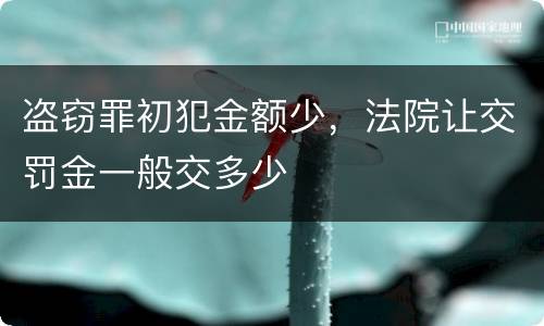 盗窃罪初犯金额少，法院让交罚金一般交多少