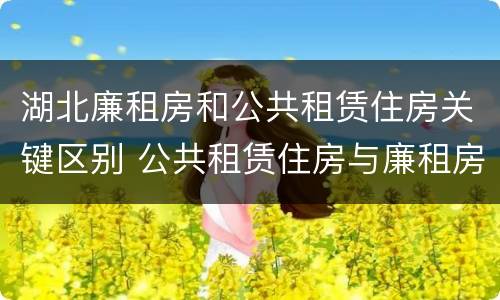 湖北廉租房和公共租赁住房关键区别 公共租赁住房与廉租房的区别