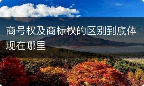商号权及商标权的区别到底体现在哪里