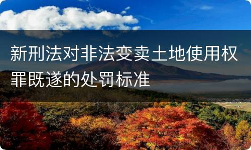 新刑法对非法变卖土地使用权罪既遂的处罚标准