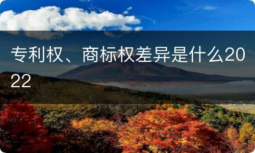 专利权、商标权差异是什么2022