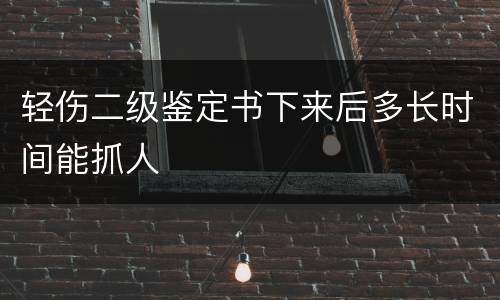 轻伤二级鉴定书下来后多长时间能抓人
