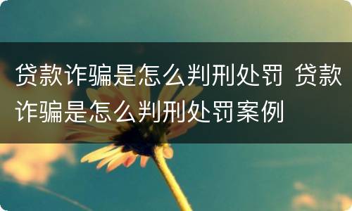贷款诈骗是怎么判刑处罚 贷款诈骗是怎么判刑处罚案例