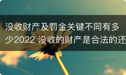 没收财产及罚金关键不同有多少2022 没收的财产是合法的还是非法的