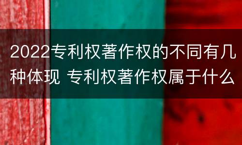 2022专利权著作权的不同有几种体现 专利权著作权属于什么资产