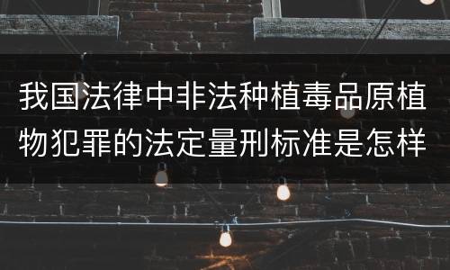 我国法律中非法种植毒品原植物犯罪的法定量刑标准是怎样的