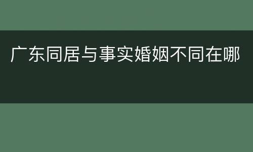 广东同居与事实婚姻不同在哪