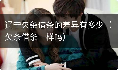 辽宁欠条借条的差异有多少（欠条借条一样吗）