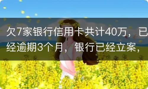 欠7家银行信用卡共计40万，已经逾期3个月，银行已经立案，请问我被判刑几年