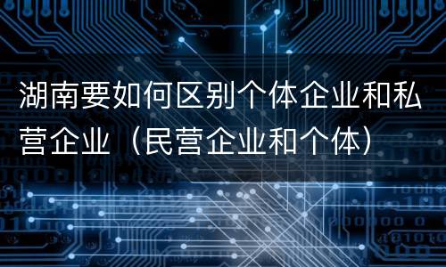 湖南要如何区别个体企业和私营企业（民营企业和个体）