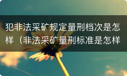 犯非法采矿规定量刑档次是怎样（非法采矿量刑标准是怎样）