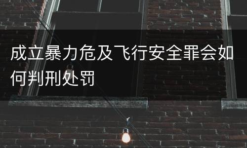 成立暴力危及飞行安全罪会如何判刑处罚