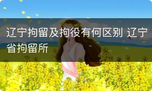 辽宁拘留及拘役有何区别 辽宁省拘留所