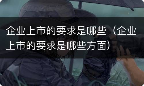 企业上市的要求是哪些（企业上市的要求是哪些方面）