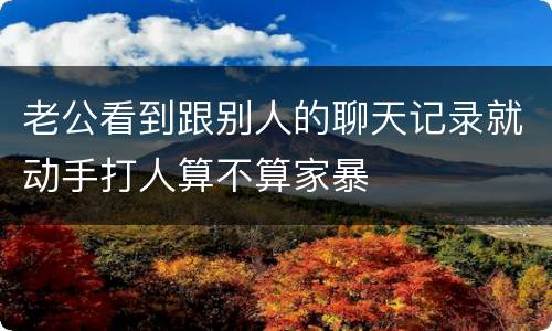 老公看到跟别人的聊天记录就动手打人算不算家暴