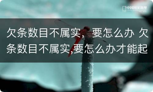 欠条数目不属实，要怎么办 欠条数目不属实,要怎么办才能起诉
