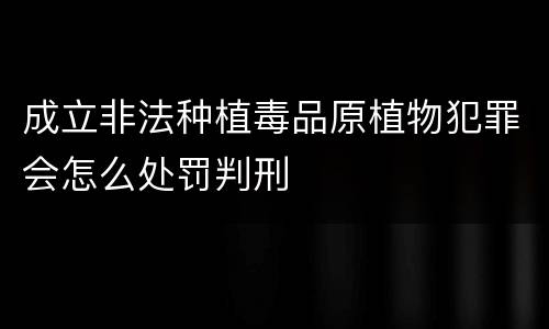 成立非法种植毒品原植物犯罪会怎么处罚判刑
