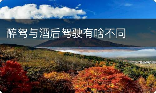 醉驾与酒后驾驶有啥不同