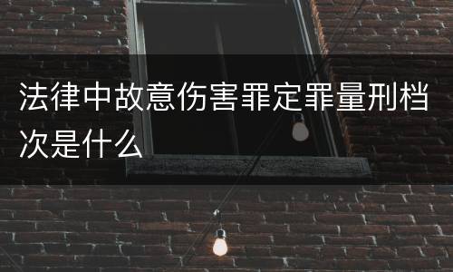 法律中故意伤害罪定罪量刑档次是什么