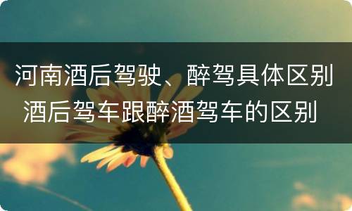 河南酒后驾驶、醉驾具体区别 酒后驾车跟醉酒驾车的区别