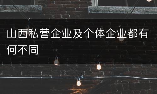 山西私营企业及个体企业都有何不同