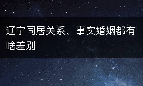 辽宁同居关系、事实婚姻都有啥差别