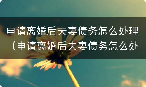 申请离婚后夫妻债务怎么处理（申请离婚后夫妻债务怎么处理好）