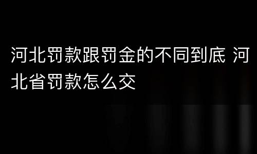 河北罚款跟罚金的不同到底 河北省罚款怎么交